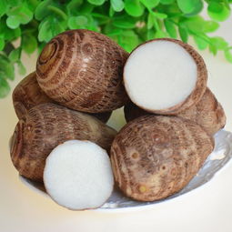 芋头的生长日记