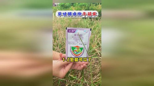 草甘膦+精吡氟禾草灵：内吸作用强