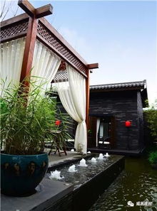 色彩搭配：和谐与对比