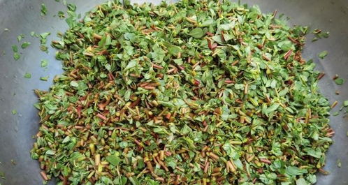 遇到晚播怎么办？有妙招