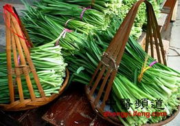 春天的蔬菜，滋养健康生活