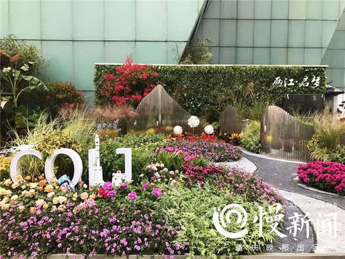 魔幻花伞区的奇妙之旅