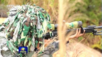 玉米田里的除草大作战