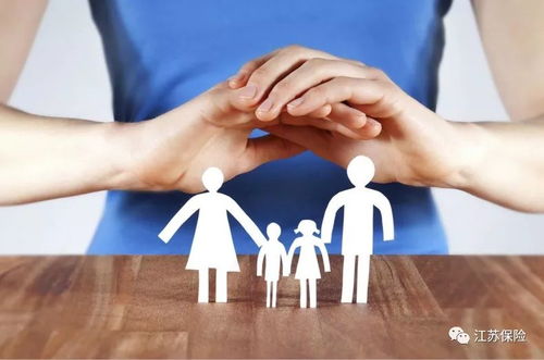 江苏盐城油菜田的挑战