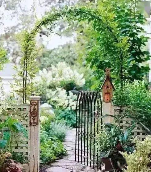 铁线莲：开花如喷泉般壮观