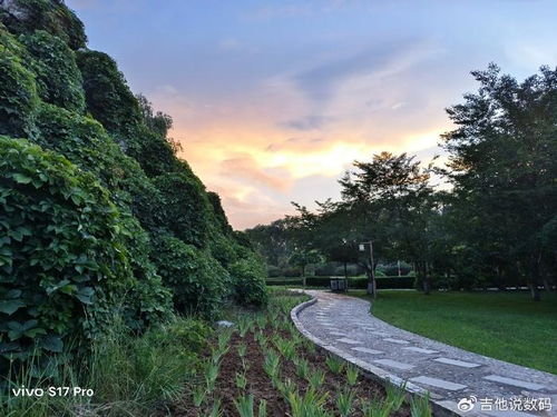 地形与生态：和谐共处