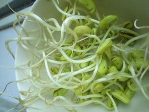 自然平衡与农药的使用