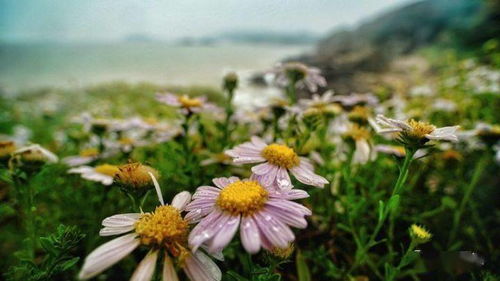 还是选个凉快的时候吧