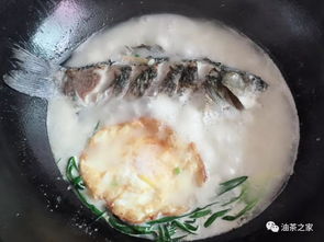揭秘茶油煮鱼汤的奥秘：色泽的秘密揭晓！
