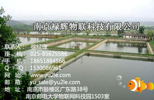 如何高效管理鱼池水循环系统？掌握这招，提升水产养殖效益！