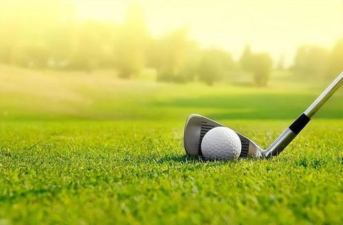 土壤条件也不均匀， 有些局部寿辊质地抄牲土容易发生干旱