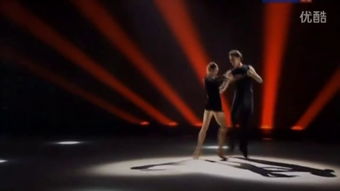 双人舞月季的美丽与魅力