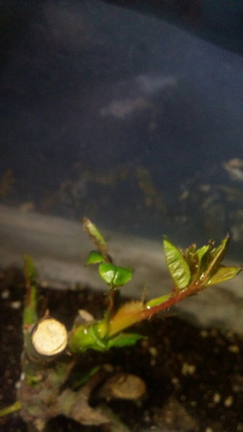 防范措施，记住了没