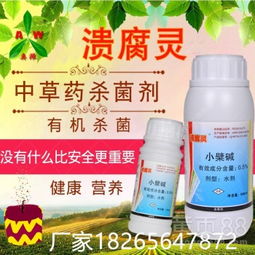 新型杀菌剂的药效试验