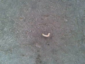 储存技巧：干燥通风， 远离潮湿