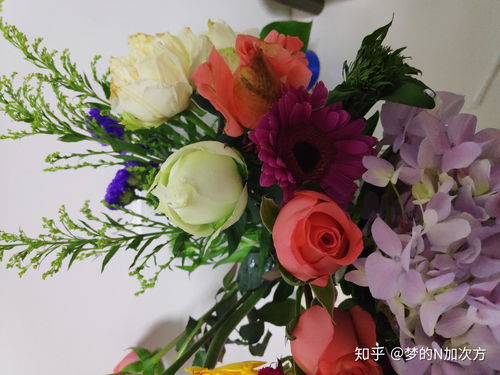 鲜花运输，如何快速低价