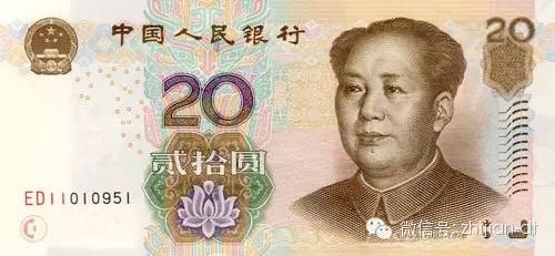 想买铁树果？这份价格清单告诉你一斤多少钱