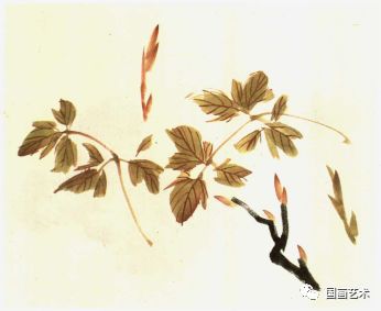 牡丹花绘画教程，新手如何轻松上手