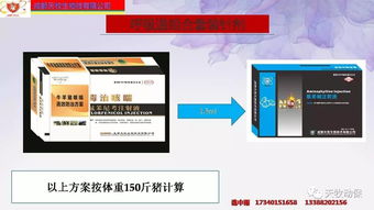 如何根据猪的生理需求，科学合理地调整颗粒饲料的喂量及喂法，以达到最佳喂养效果？