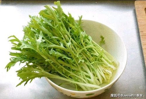 苦菊在什么季节种植最合适，何时是种植苦菊的最佳时机