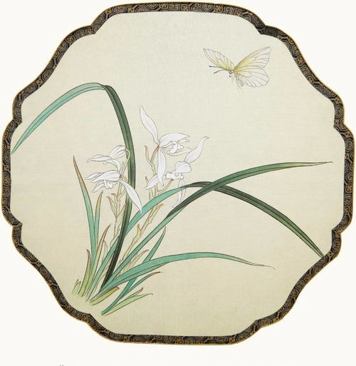 一、兰花的基本结构