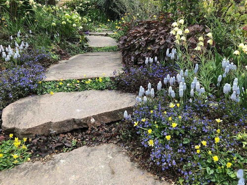 花友靠谱不靠谱？怎么堪出园艺群聊的靠不靠谱？