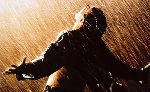 “揭秘救赎之花：代表救赎的花朵故事”