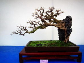 对家居环境有影响吗？