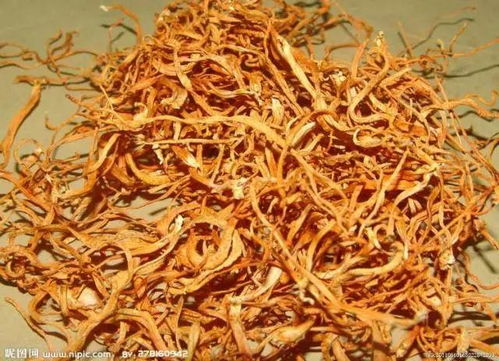 虫草花：天然保健品， 养生好选择