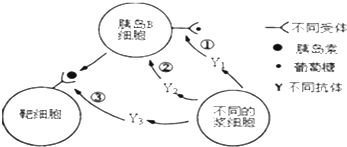 城市化加速，树木需求增加