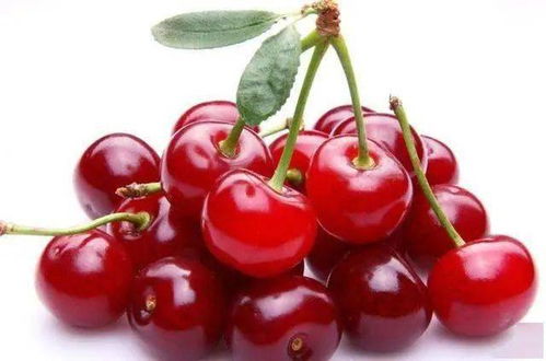 网购樱桃种子的套路