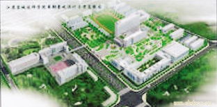 深圳市造园绿化有限公司：福华三路的绿化伙伴