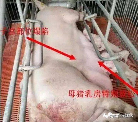 科学监控，合理调配