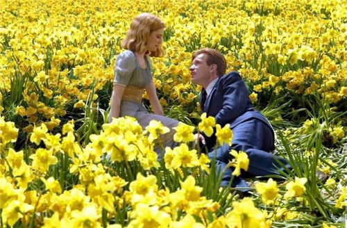 九里香， 那独特的香氛与情感