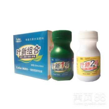 阴天喷施杀虫剂对黄瓜叶片有影响吗？阴天使用杀虫剂安全吗？