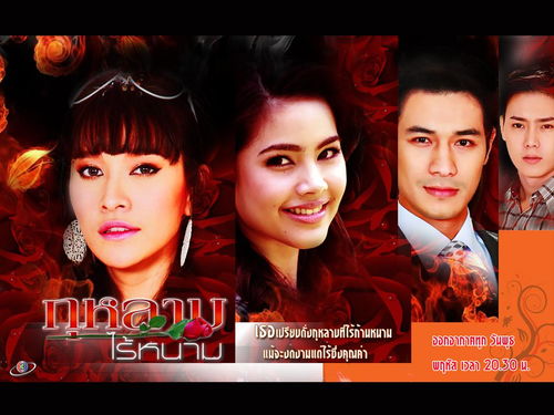 无刺玫瑰电视剧：《无刺玫瑰》