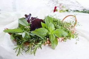 香草的香气，从哪里来？