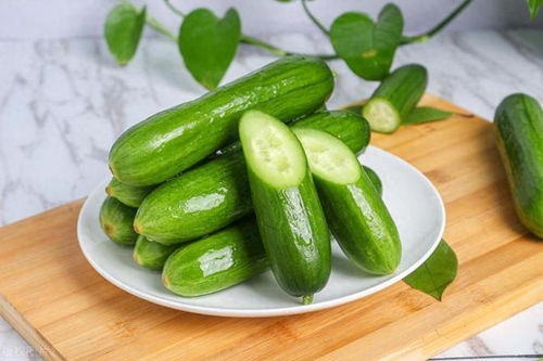 不同蔬菜间隔时间不同