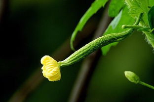 播种季节有讲究吗？