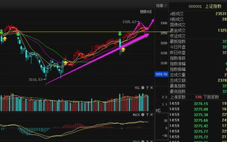 精甲维斯股票是否为优质股？