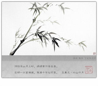 花竹双：花影摇曳间