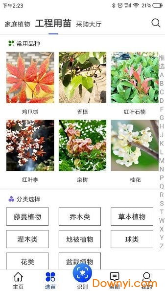第四步：评价堪堪，别人的经验