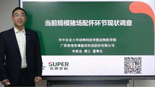 猪场配怀返情率超15%，管理缺陷是哪一环节出了问题