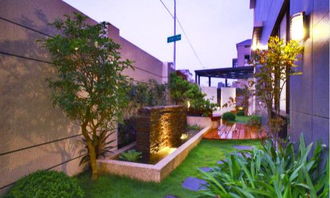 阳台种玫瑰，风水咋样？