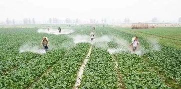 3. 不同农药，不同讲究