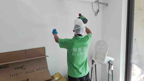 活性炭，吸附甲醛小能手