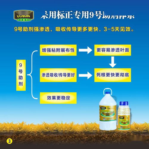 主要成分大揭秘