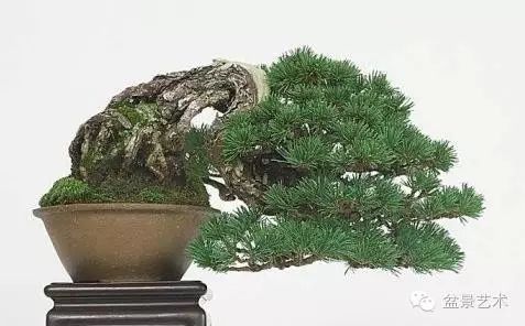 成功案例的关键参数