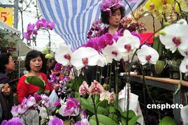 价格是多少？儿童和老人便宜吗？