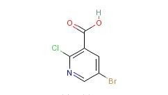 二氯烟酸的神奇力量：它到底Neng防治哪些作物病虫害？